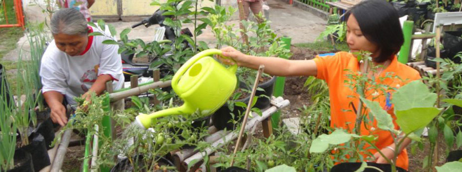 Jambatan Ilmu dan Intelektual