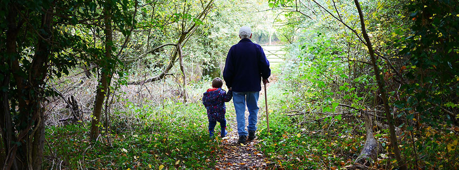 Datuk nenek  <em>surrogate parent</em>  (ibu bapa ganti)